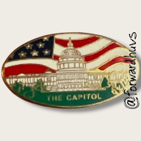 Pair of Oval Capitol Pins – U.S. Flag & Building Design – Gold Tone Backs - Picture 3 of 8